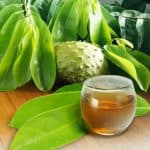 Manfaat Daun Sirsak untuk Kesehatan Tubuh