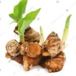 Manfaat Kencur untuk Kesehatan yang Wajib Diketahui